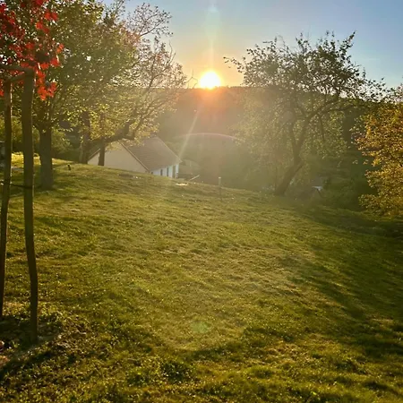 Fehér Bagoly *