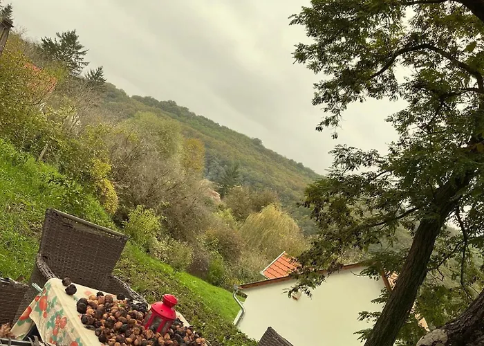 Fehér Bagoly * Kovacsszenaja