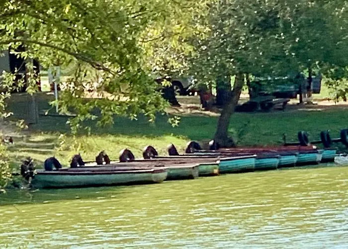 Fehér Bagoly *